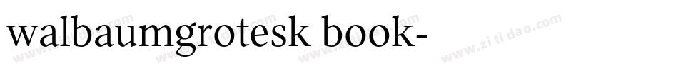 walbaumgrotesk book字体转换